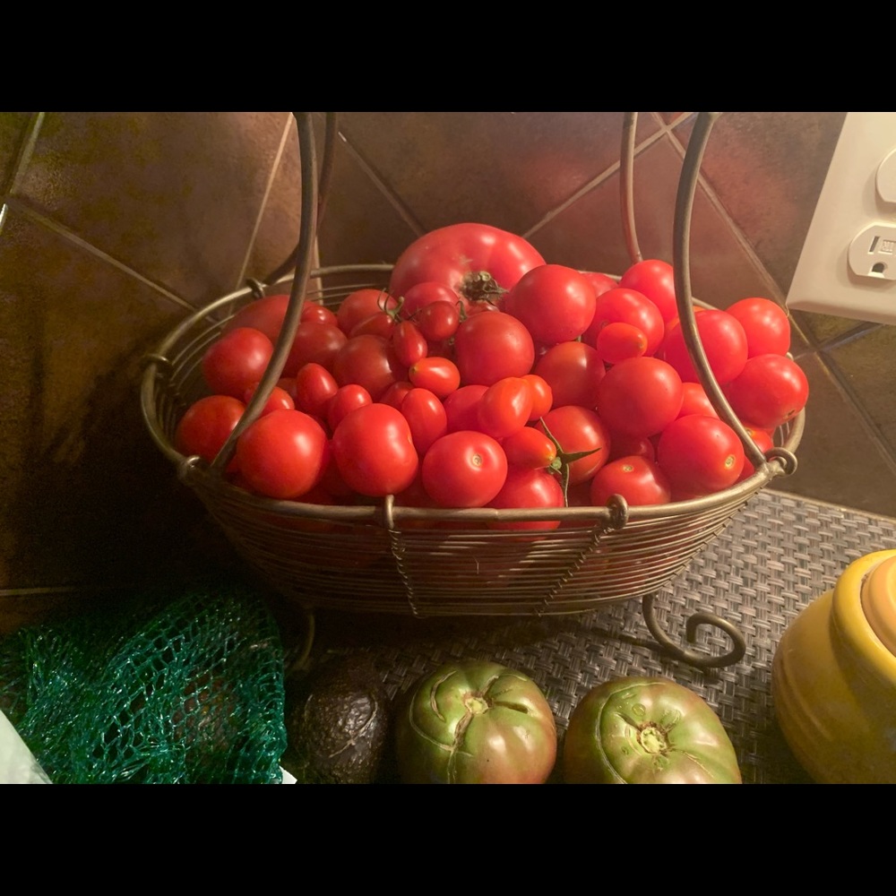 Meet your Posher, Melissa